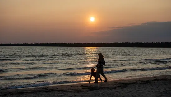 美しいオレンジ色の太陽が水面に沈む中、女性と犬が砂浜を歩いています。