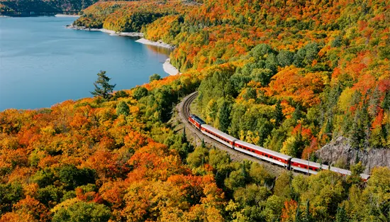  秋の紅葉のピーク時に湖と森を走る列車の航空写真。