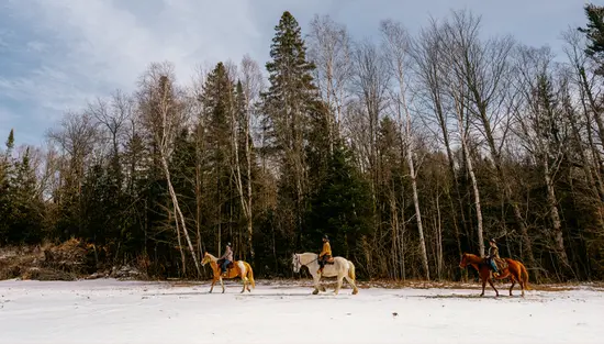 Tres personas montando a caballo por un sendero nevado junto a árboles altos y sin hojas.