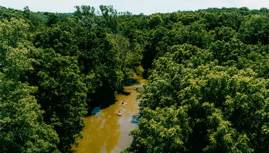  Ein gewundener Fluss fließt durch einen leuchtend grünen Wald unter einem teilweise bewölkten blauen Himmel mit schlammigem Wasser.