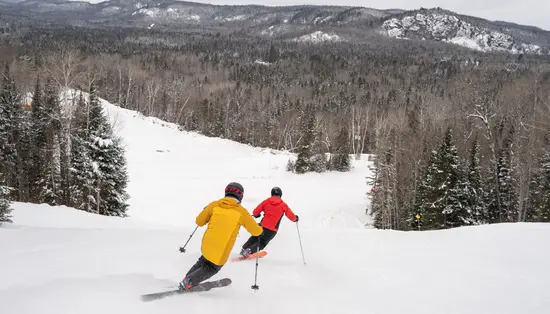 Eine Person fährt in einem Skigebiet in Ontario einen anspruchsvollen Skihang hinunter.