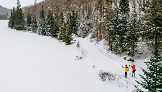 Una pareja practicando esquí de fondo en un sendero nevado junto a un bosque en Stokely Creek Lodge.