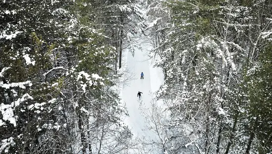 Luftaufnahme von zwei Personen, die auf einer gut präparierten Eislaufbahn durch den Wald im Arrowhead Park Schlittschuh laufen.