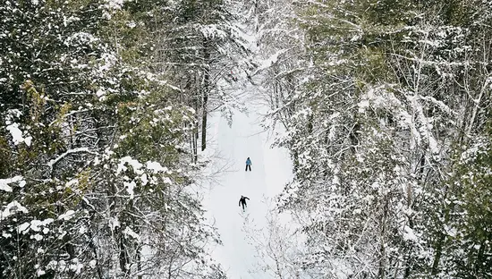 Aerial view of two people ice skating along a well-maintained skate trail through the forest at Arrowhead Park.
