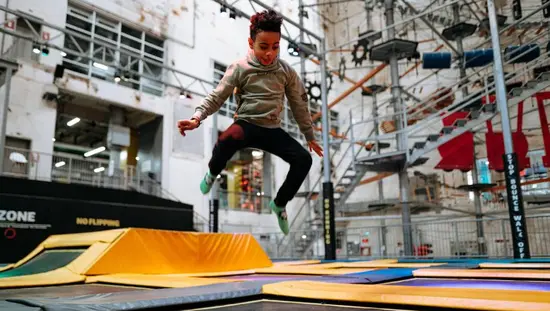 장난감 너구리를 살펴보는 어린 소녀