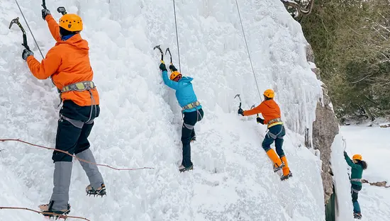 헬멧과 방한 장비를 착용한 네 사람이 눈 덮인 숲 속에서 로프와 빙벽을 오르고 있다.