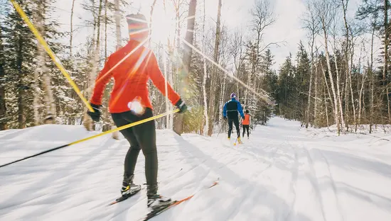 Une femme fait du ski de fond sur une piste bien entretenue dans la forêt.