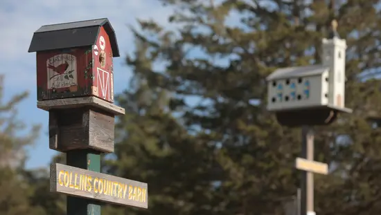 Nichoirs à Birdhouse City dans le comté de Prince Edward