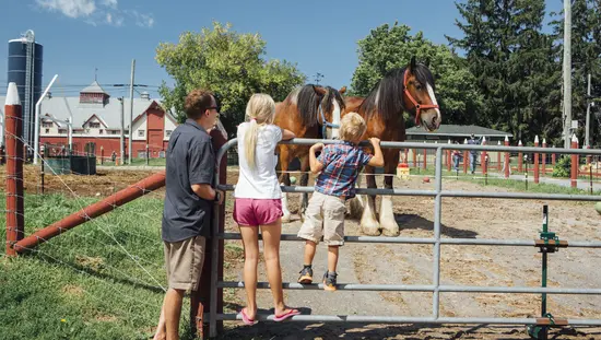 A family watching a horse outside the fence at Canada Agriculture and Food Museum
