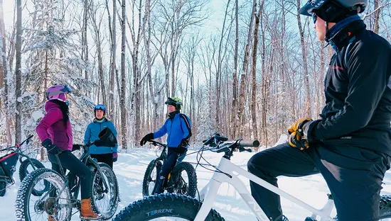 Grupo de personas montando bicicletas gordas por un sendero forestal nevado.