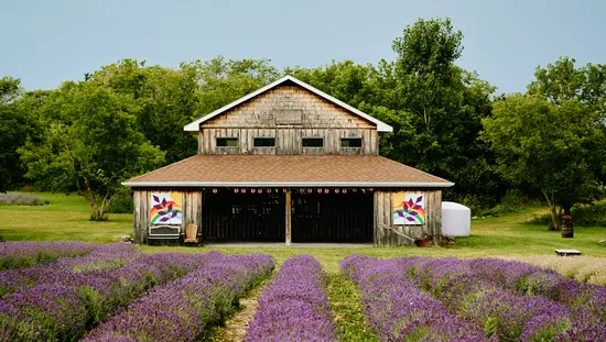 Une maison et la ferme de lavande de PEC Lavender Farm