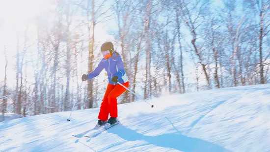 Esquiador con pantalones rojos moviéndose a través de un bosque nevado con la luz del sol filtrándose a través de los árboles desnudos.