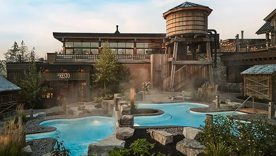 Outdoor pool surrounded by natural landscape at Thermea Spa Village.