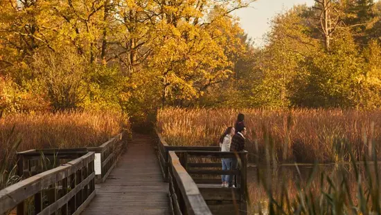 한 가족이 습지 위로 난 나무 데크에 서서 새들을 관찰하고 있다.