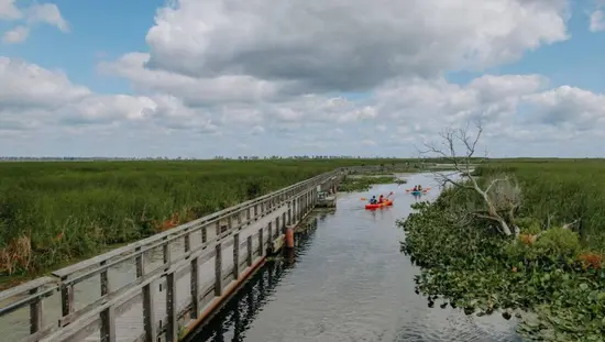 포인트 펠리 국립공원의 나무 데크 옆 좁은 수로에서 카약 타는 사람들이 노를 젓고 있습니다.