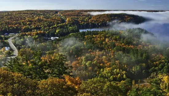 Blick vom Turm auf den herbstlich gefärbten Wald.