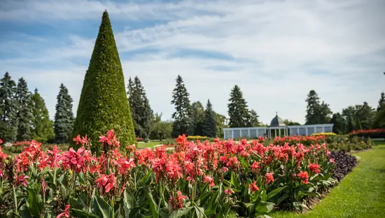 Flowers in the Niagara Parks Botanical Gardens.