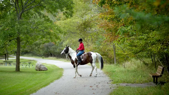 Eine Frau reitet auf einem Pferd entlang des Hamilton-Brantford Rail Trail.