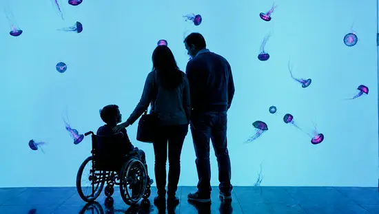 車椅子に乗った子供を連れた家族が、トロントにあるリプリーズ水族館カナダのクラゲ展示を見学している。