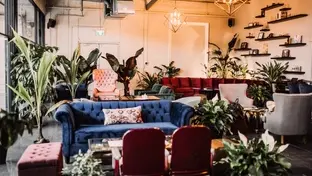 Petite table beige placée entre un canapé bleu et deux fauteuils rouges, le tout entouré de plusieurs plantes d’intérieur.