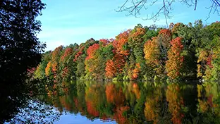 Rive bordée d’arbres aux teintes automnales de rouge, d’orange et de vert se reflétant dans un lac sous un ciel bleu.