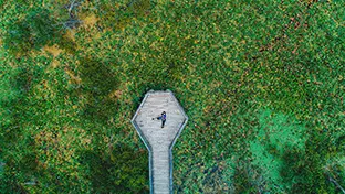 Vue aérienne d’une personne allongée sur un quai hexagonal en bois entouré d’un étang couvert de nénuphars.