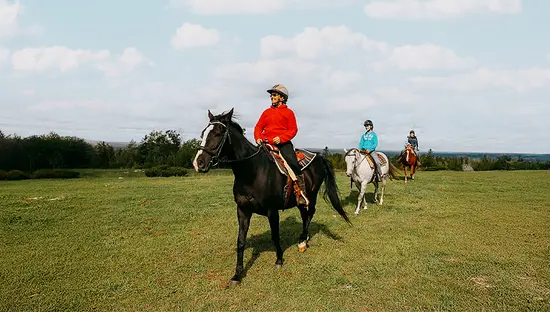 Drei Personen reiten auf Pferden auf einem offenen Feld unter bewölktem Himmel.
