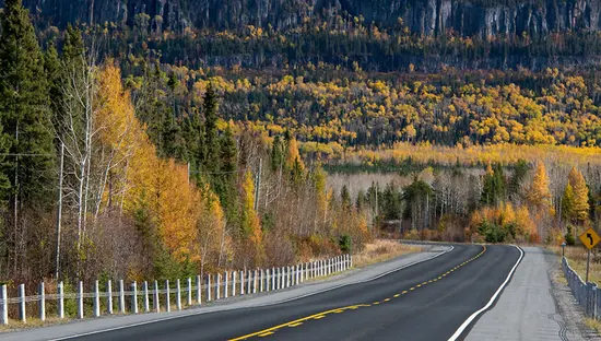 An empty highway leading towards forest and mountains.