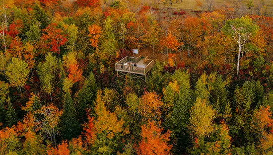 Aerial view of a forest park in autumn with an observation deck above the treetops.