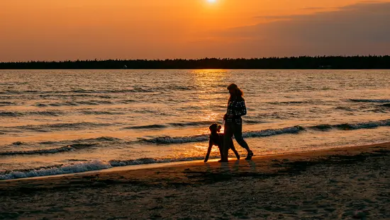 Eine Person und ein Hund spazieren bei Sonnenuntergang am Strand entlang.