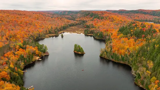 Aerial view of a lake surrounded by forests displaying vibrant autumn colours.