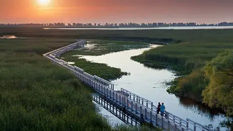 Two people hike along a wooden boardwalk across marshlands.