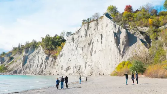 家族連れが散歩したり遊んだりする大きなビーチの背後には、木々に囲まれた大きな崖があります。