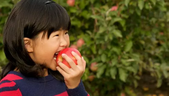 A young girl bites into a juicy freshly picked apple.