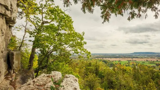 A view of fields and the Niagara Escarpment from a lookout spot at Rattlesnake Point.