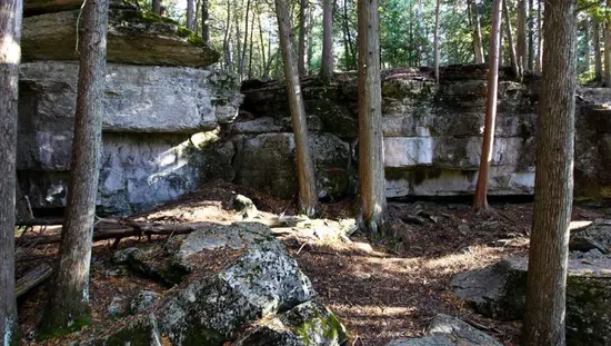 Große Felsen, umgeben von Bäumen in einem Wald.