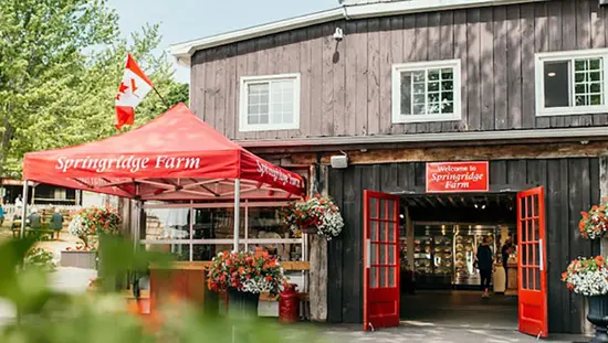 Shoppers browse Christmas decorations and holiday gifts at Springridge Farm.