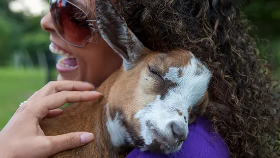 Eine Frau kuschelt mit einer jungen Ziege.