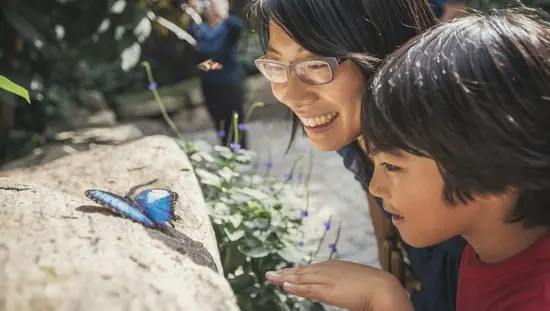 A mother and child admire a butterfly.
