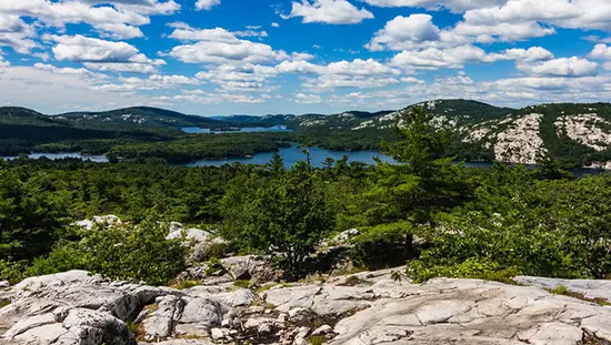 A view of mountains, forest and lakes from a lookout point.