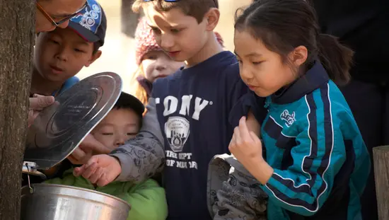 A group of children gather to view a bucket for tapping maple syrup.