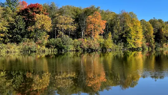 Le feuillage aux couleurs automnales de la forêt se reflète dans les eaux calmes du lac.
