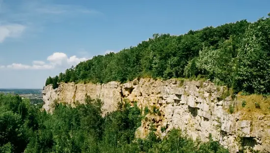 Scenic view of rugged limestone cliffs and dense green forest at Kelso Conservation Area, with blue sky and distant horizon on a clear summer day.