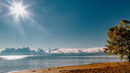 Sunny morning over Turkey Point Beach, with golden sand in the foreground and calm waters reflecting the blue sky and clouds.