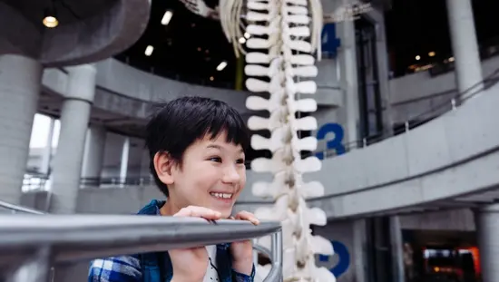 Un niño emocionado mirando la exhibición en Science North.