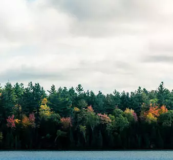 Big white clouds above a colourful forest