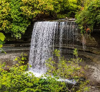 Water flowing off a rock cliff into a pool surrounded by green plant foliage.