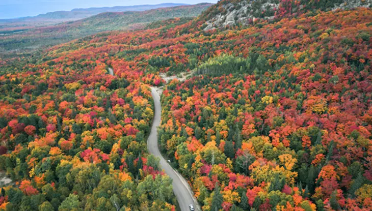 Luftaufnahme einer Straße, die sich durch einen herbstlich gefärbten Wald schlängelt.