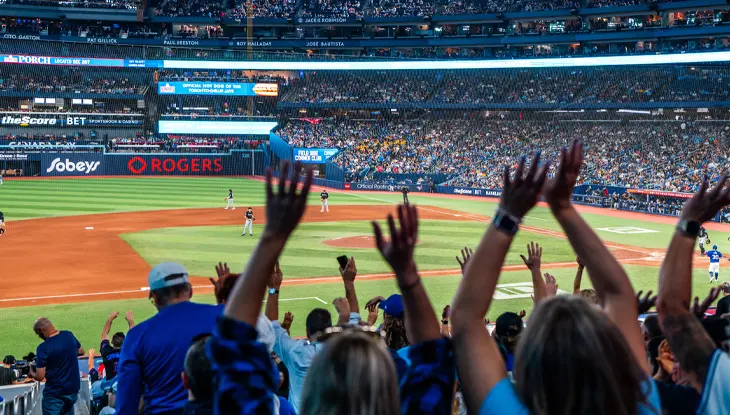 Fans at a baseball game