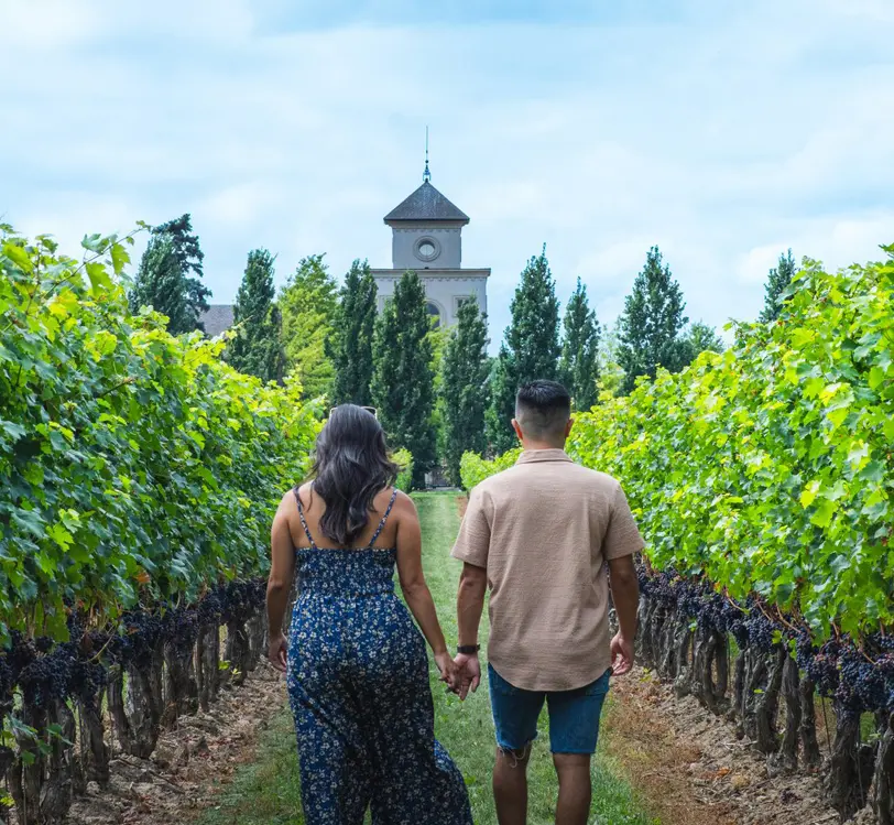 Un couple marche dans un vignoble de la Two Sisters Winery à Niagara-on-the-Lake.